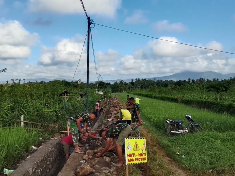Satgas TMMD ke-125 Kodim 0825 Banyuwangi Genjot Pembangunan Saluran Irigasi, Progres Capai 50 Persen