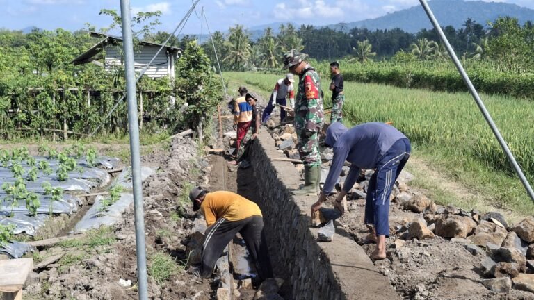 Sinergi TNI dan Rakyat: Satgas TMMD 125 dan Babinsa Genjot Pembangunan Irigasi Desa Kesilir Demi Kesejahteraan Petani