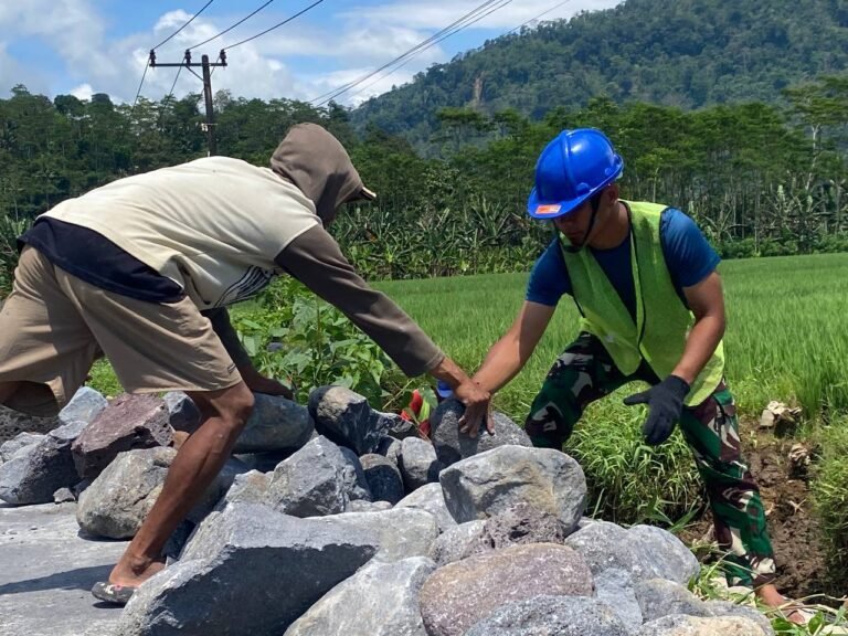 Dalam rangka mendukung peningkatan sektor pertanian, anggota Satgas TNI Manunggal Membangun Desa (TMMD) ke-126 Kodim 0818/Malang-Batu terus menunjukkan semangat pengabdian di Desa Lebakharjo, Kecamatan Ampelgading, Kabupaten Malang