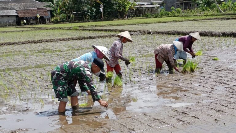 Pagi yang sejuk di Dusun Krajan 1 B, Desa Lebakharjo, Kecamatan Ampelgading, Kabupaten Malang (10/2025), menjadi saksi kebersamaan antara anggota Satgas TMMD ke-126 dan warga setempat