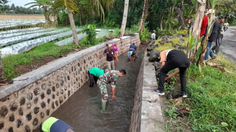Babinsa Koramil 0825/20 Songgon Bersama Warga Gelar Karya Bhakti Pembersihan Saluran Irigasi Dan Perbaikan Jalan Berlubang