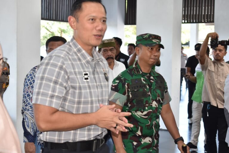 Dandim Banyuwangi Dampingi Menteri Infrastruktur dan Pembangunan Kewilayahan Tinjau Revitalisasi Pasar dan Inggrisan