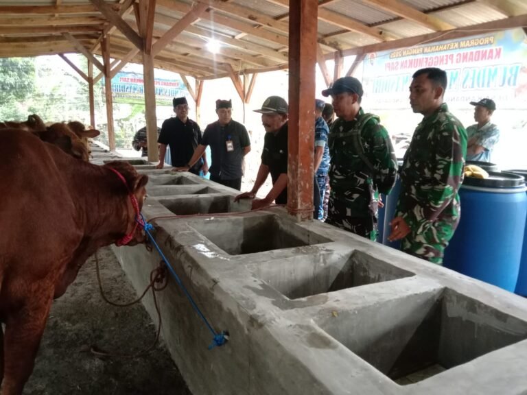 Babinsa Pendampingan Program Ketahanan Pangan Penggemukan Sapi Bumdes Makmur Mandiri Desa Kandangan