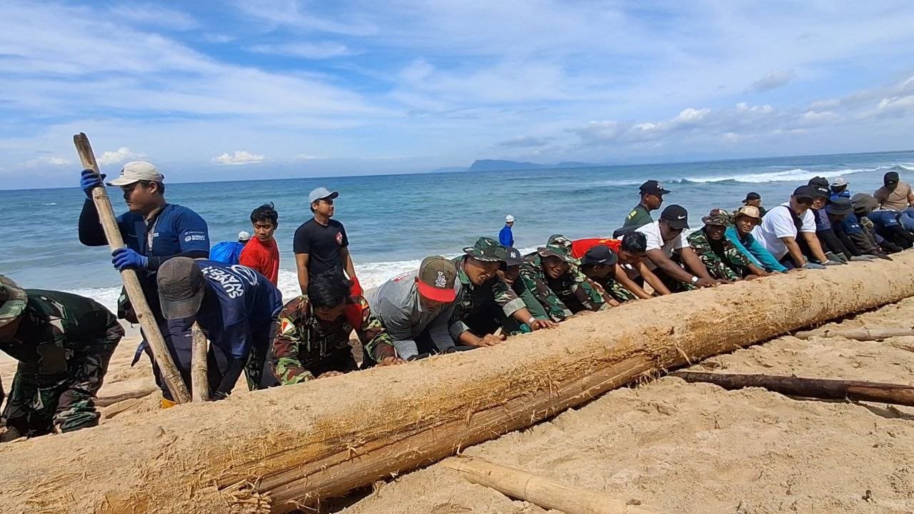 Sinergi Tanpa Batas TNI dan Warga ‘Geruduk’ Pantai Pancur Bersihkan Sampah Kayu