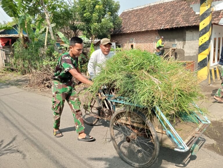 Aksi Kecil Penuh Makna: Prajurit TMMD Ke-127 Bantu Warga Dorong Gerobak