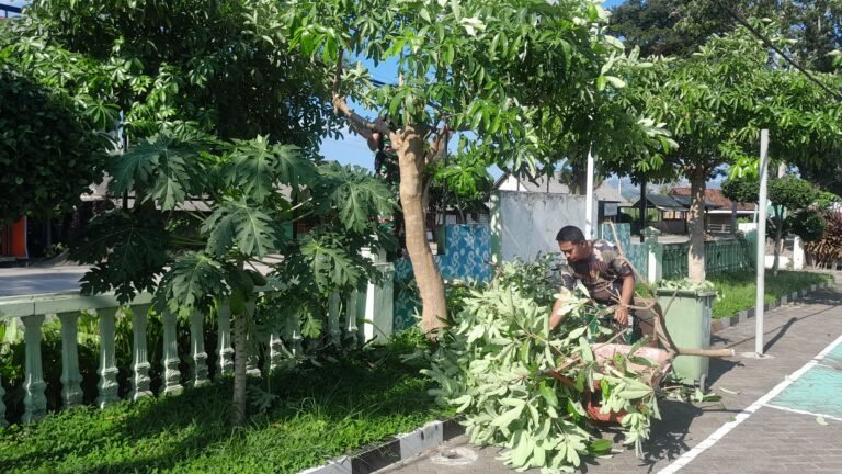 Menjaga Kebersihan Pangkalan Koramil Pesanggaran, Mewujudkan Kepedulian Lingkungan